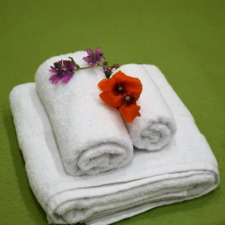 Hébergement de vacances Alex *